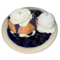 Blueberry Biscuit with Ice Cream